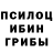 Псилоцибиновые грибы MAGIC MUSHROOMS Actic Cat