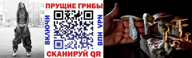 Галлюциногенные грибы ЛСД  даркнет сайт  Сарапул 
